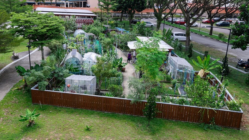 jardin communautaire