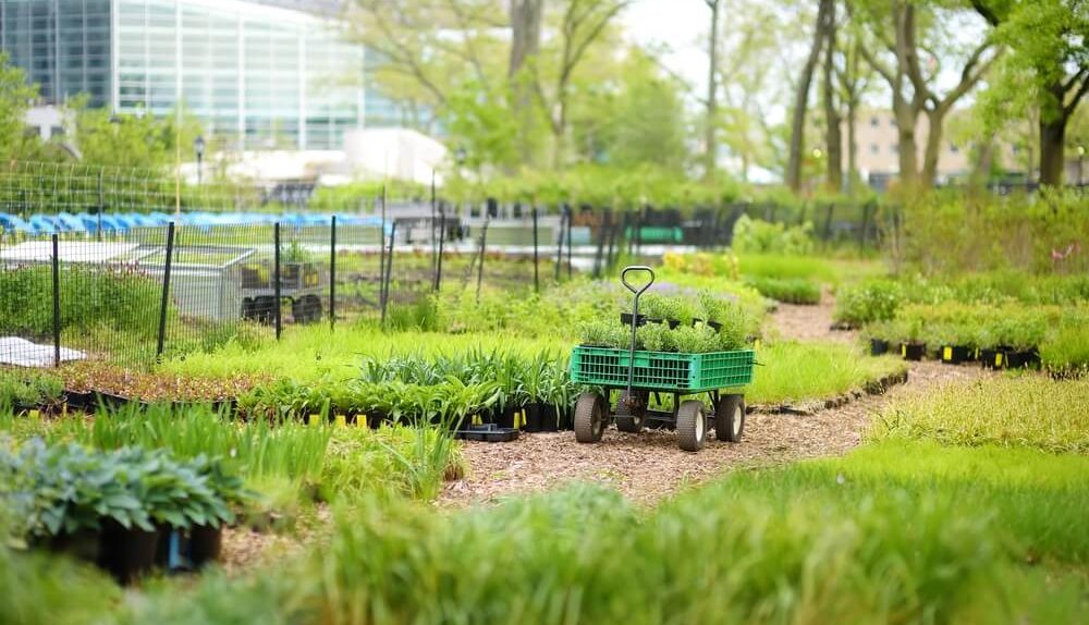 jardin urbain